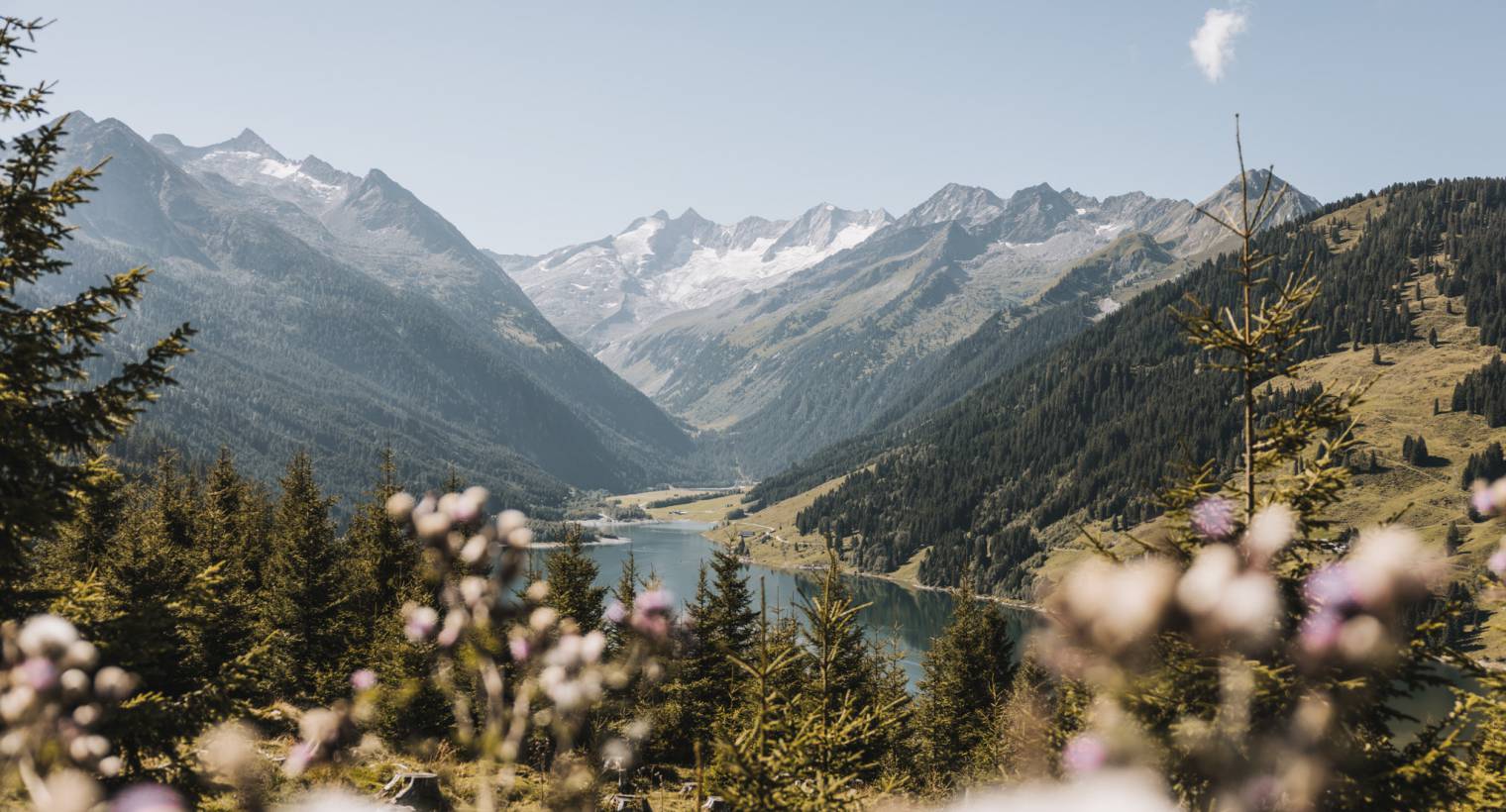 Sommerurlaub in Österreich: Draußen sein, lebendig fühlen - Hotel Gaspingerhof