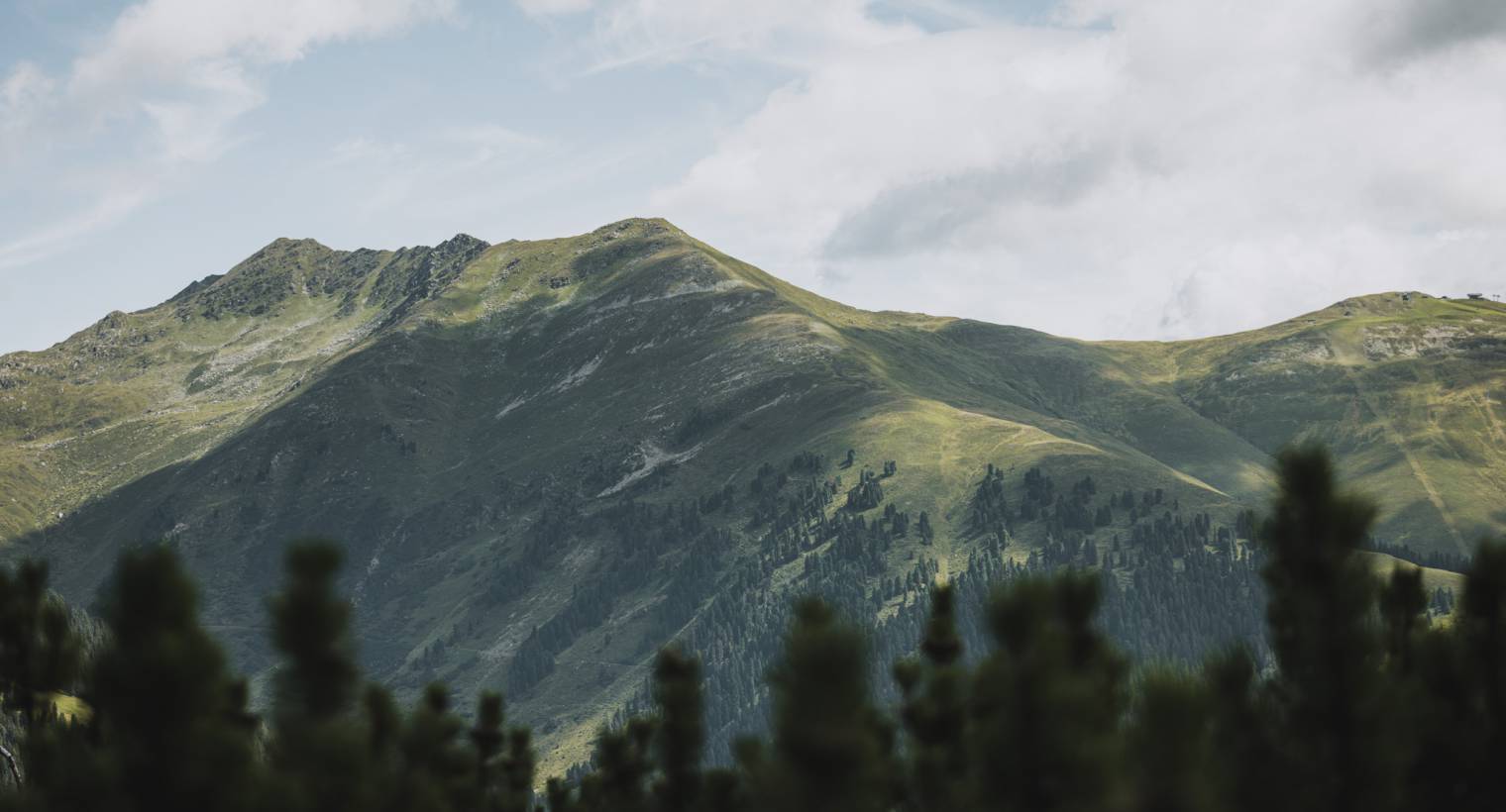 Popular hiking trails: Signposts to picture-postcard moments - Hotel Gaspingerhof