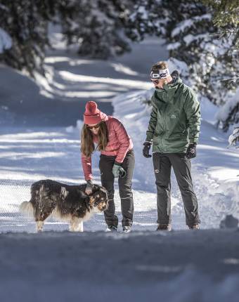 Winterwandern mit Hund im Zillertal