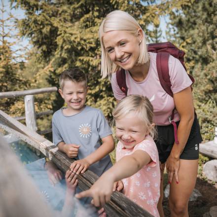 Kinder entdecken mit der Mutter auf dem Wanderweg eine Beschreibungstafel