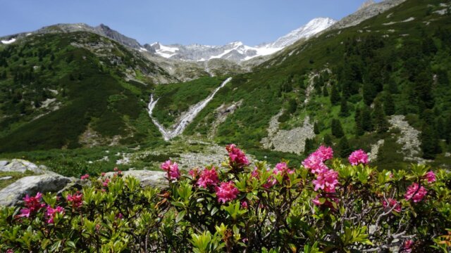 gaspingerhof,gerlos,zillertal