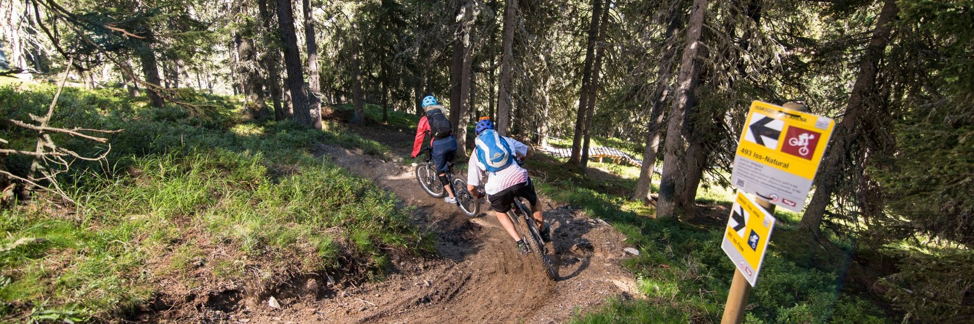 mountainbike,zillertal,tirol