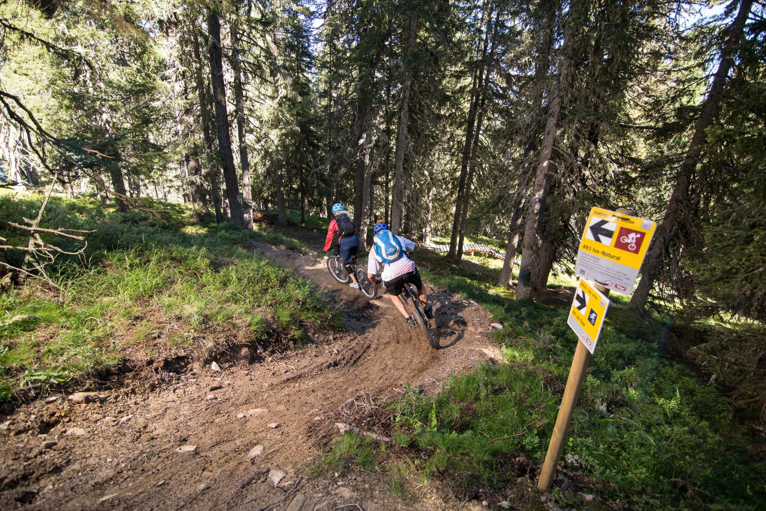 Cycling & Mountain Biking 8 panoramatour bike trail gerlos 135 scaled