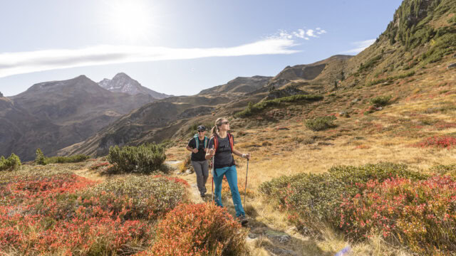 Hiking Holidays in the Zillertal
