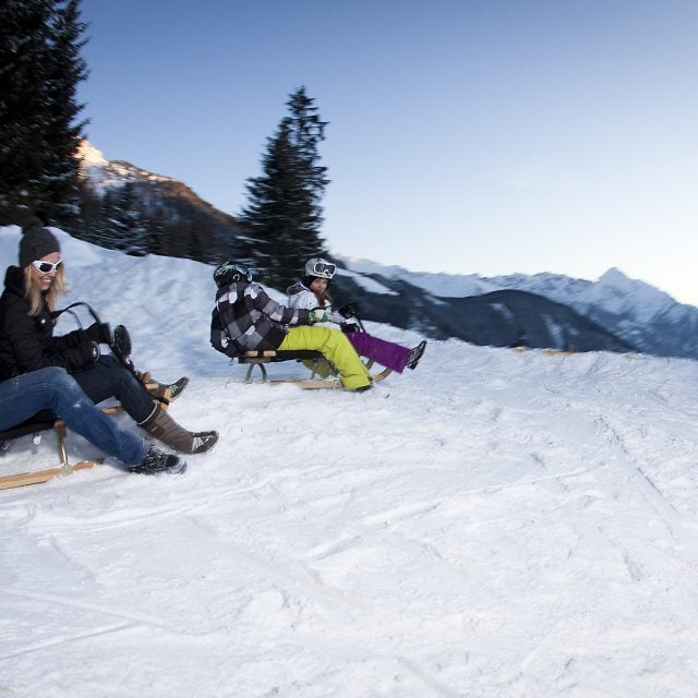 zillertal winter rodelnmit panorama
