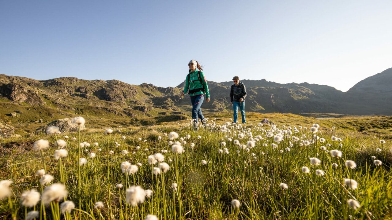 Zwei Wanderer auf einer blühenden Wiese